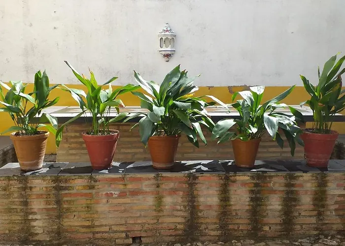 Casa Rural Posada La Campana 3*